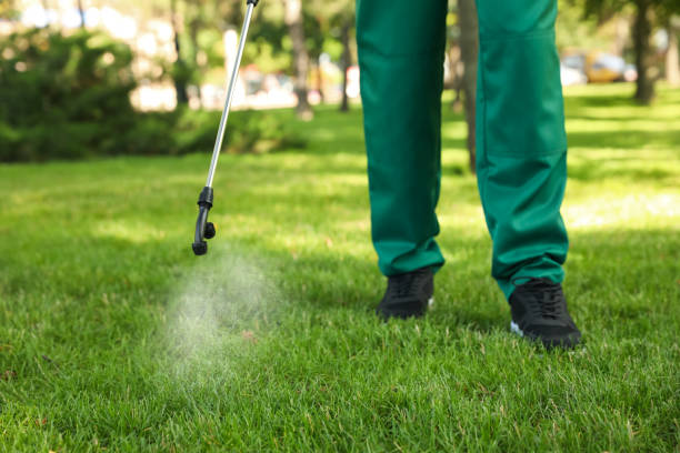 Best Pest Control Near Me in Wacousta, MI